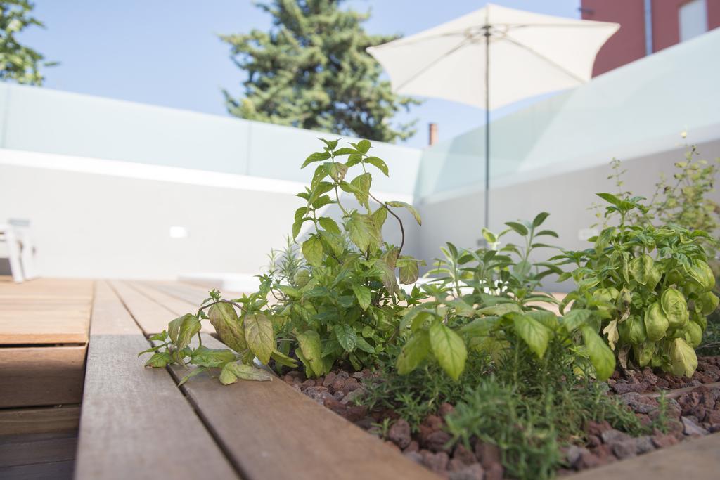 Villa Danex Premium Umag Dış mekan fotoğraf